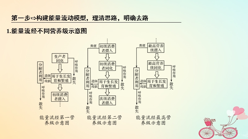 2019版高考生物大一轮复习第八单元生物个体的稳态补上一课6课件苏教版.ppt_第3页