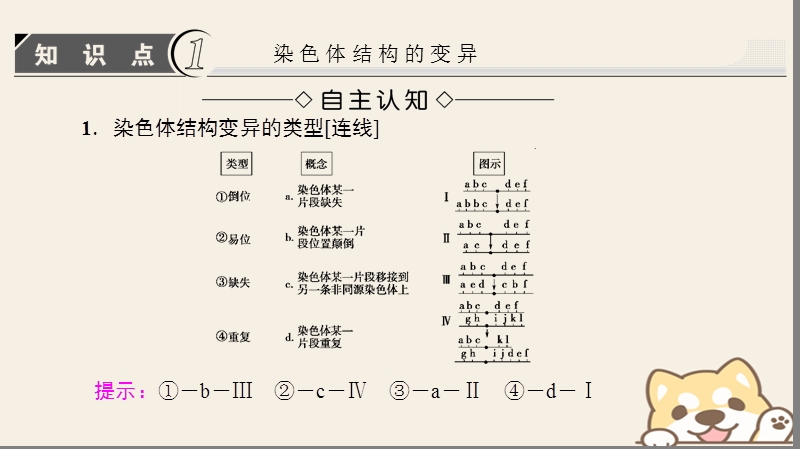 2018版高中生物第五章基因突变及其他变异第2节染色体变异课件新人教版必修.ppt_第3页