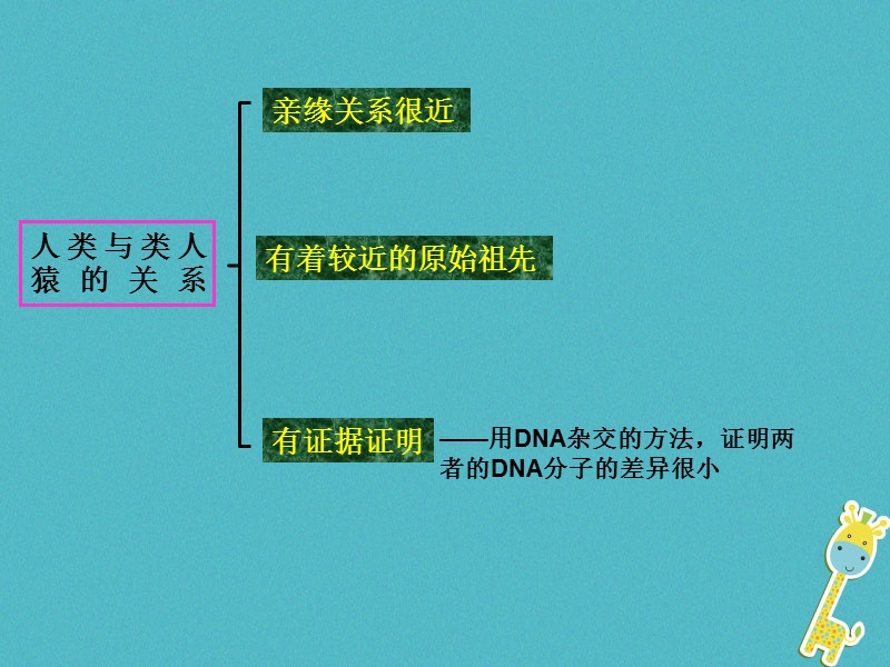 安徽省合肥市长丰县七年级生物下册4.1.1人类的起源和发展课件2新版新人教版.ppt_第3页