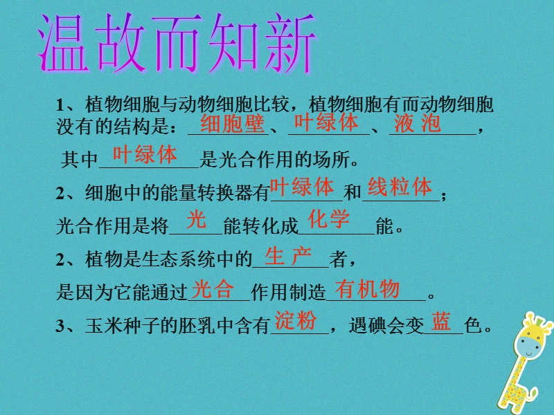 吉林省长春市七年级生物上册第三单元第四章绿色植物是生物圈中有机物的制造者课件1新版新人教版.ppt_第3页