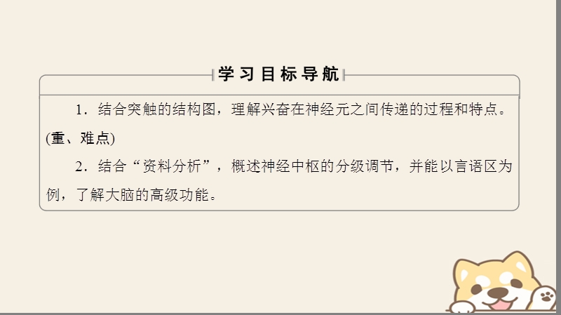 2018版高中生物第二章动物和人体生命活动的调节第1节课时2兴奋在神经元之间的传递神经系统的分级调节及人脑的高级功能课件新人教版必修.ppt_第2页