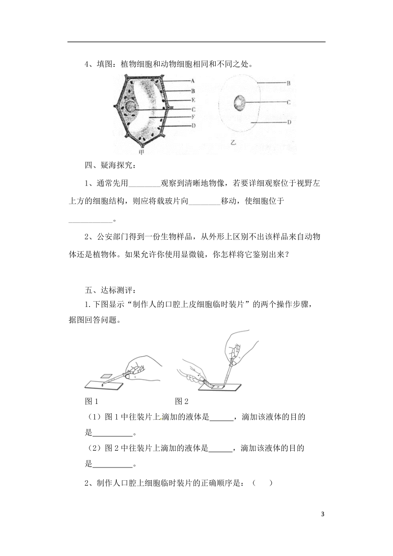 安徽省合肥市长丰县七年级生物上册2.1.3动物细胞教案2新版新人教版.doc_第3页