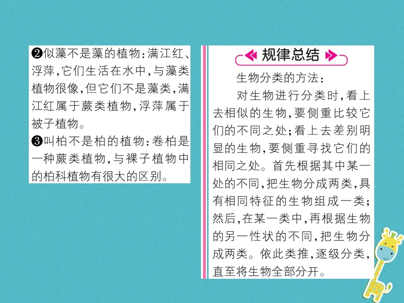 2018年八年级生物上册第6单元第1章第1节尝试对生物进行分类第1课时植物的分类练习课件新版新人教版.ppt_第3页