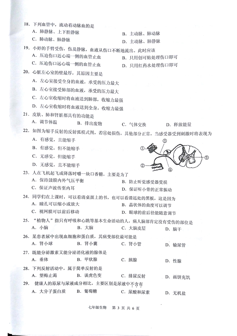 广东省广州市白云区2017_2018学年七年级生物下学期期末教学质量检测试题pdf无答案新人教版.pdf_第3页