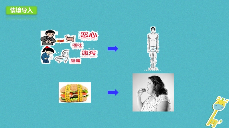 河北省七年级生物下册2.1.3营养物质的吸收和利用课件冀教版.ppt_第2页