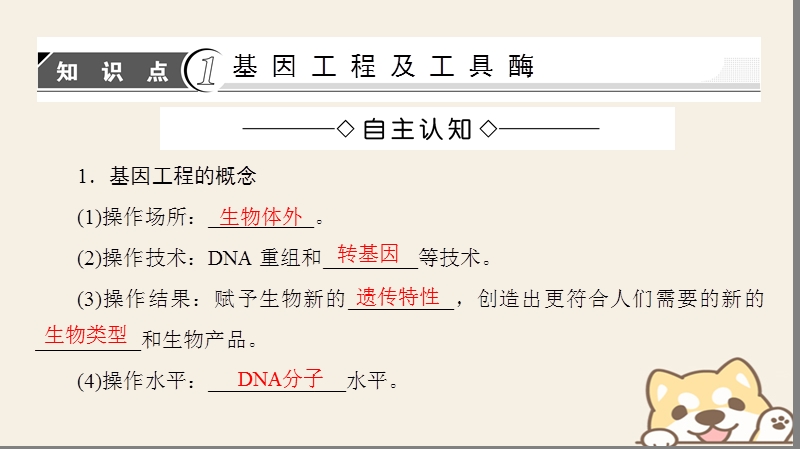 2018版高中生物第1章基因工程1.1dna重组技术的基本工具课件新人教版选修.ppt_第3页