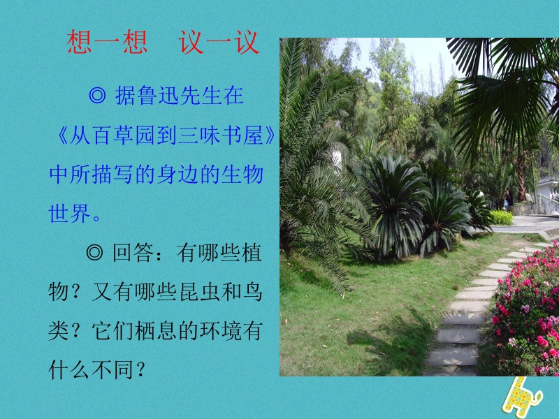 安徽省合肥市长丰县七年级生物上册3.4.2调查我们身边的生物课件4新版新人教版.ppt_第1页