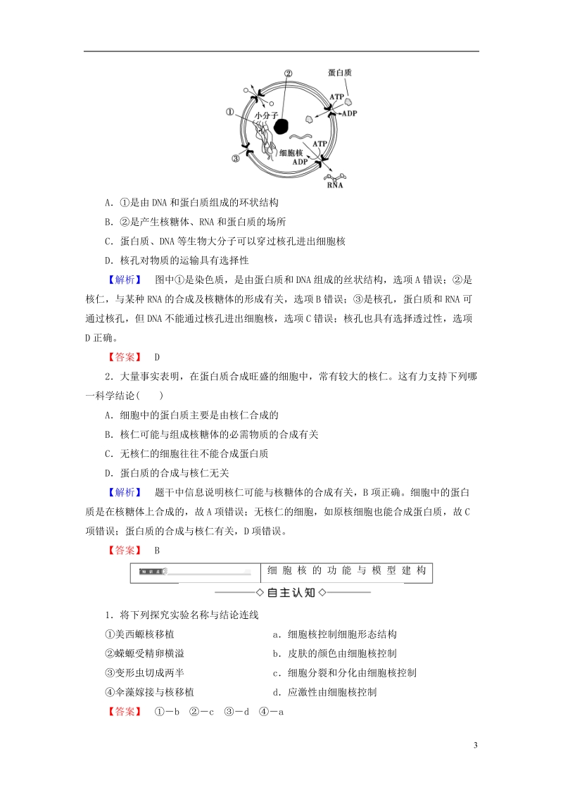 2018版高中生物第三章细胞的基本结构第3节细胞核__系统的控制中心学案新人教版必修.doc_第3页