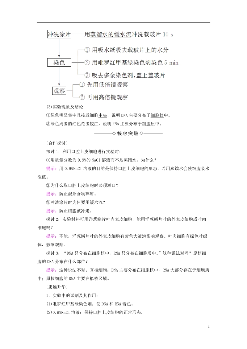 2018版高中生物第二章组成细胞的分子第3节遗传信息的携带者__核酸学案新人教版必修.doc_第2页