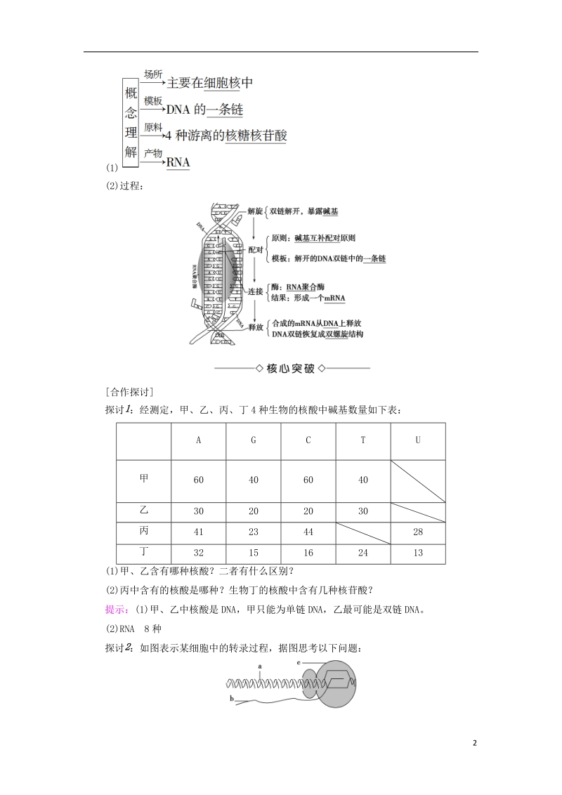 2018版高中生物第四章基因的表达第1节基因指导蛋白质的合成学案新人教版必修.doc_第2页