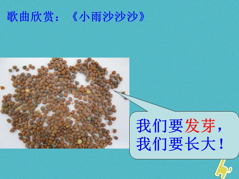 吉林省长春市七年级生物上册第三单元第二章第一节种子的萌发课件2新版新人教版.ppt_第2页