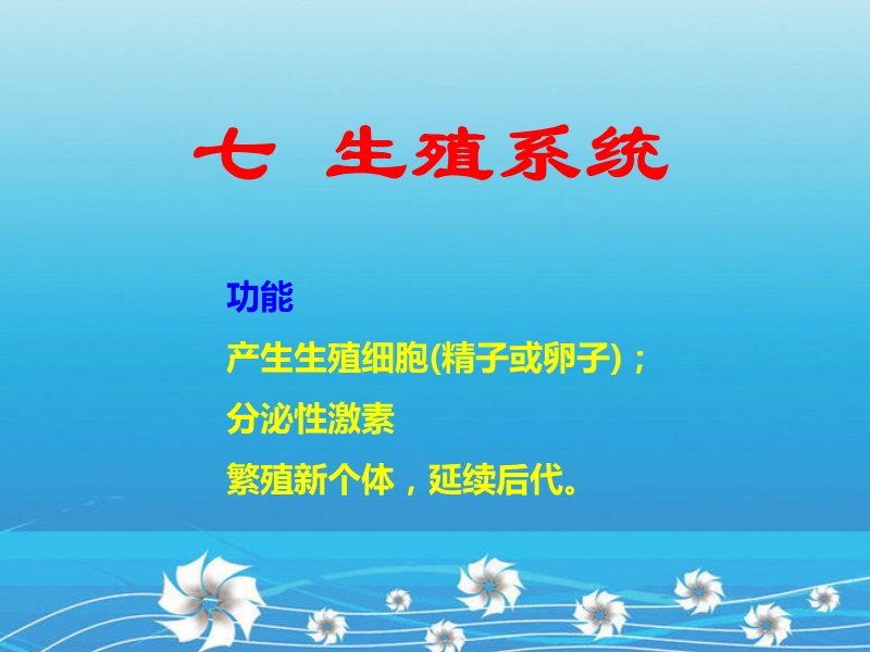 解剖生理课件——生殖系统.ppt_第1页