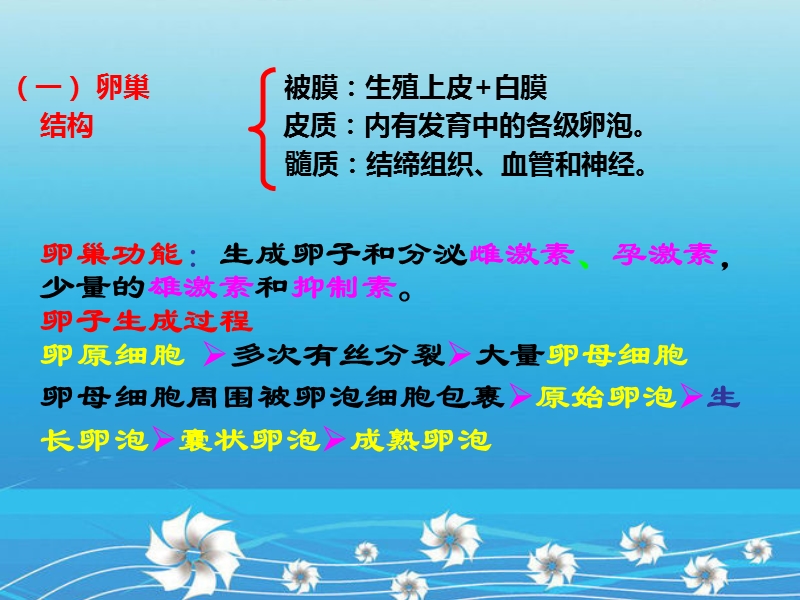 解剖生理课件——生殖系统.ppt_第3页