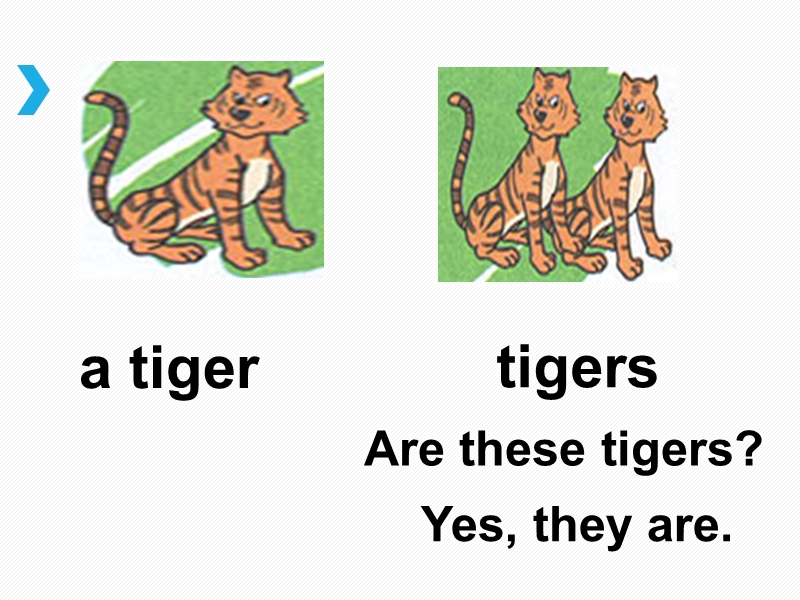 五年级下英语课件（人教新版）五年级英语下册课件 unit2 lesson11&12人教（新版）.ppt_第2页