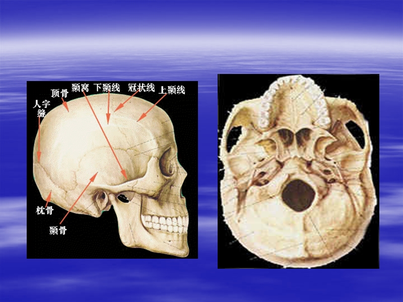 李俊-教案5.30.ppt_第2页