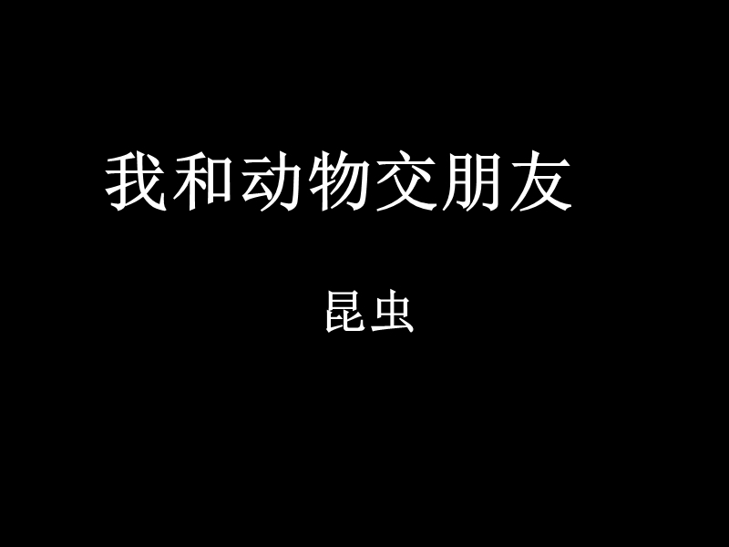 （人教版）二年级品德与生活课件 我和动物交朋友1.ppt_第1页