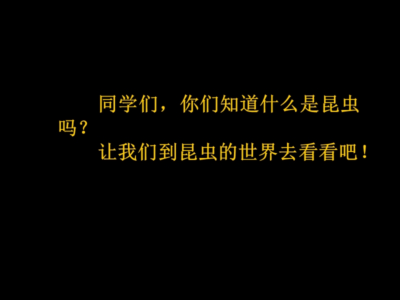 （人教版）二年级品德与生活课件 我和动物交朋友1.ppt_第3页