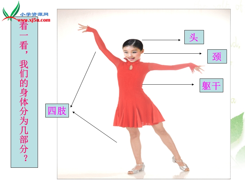 （北师大版） 2015春品德与生活二年级上册 《了解我的身体》ppt课件1.ppt_第3页