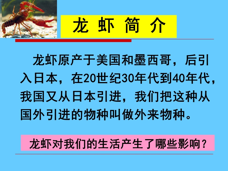 （苏教版）品德与社会六年级下册8-可怕的物种入侵ppt.ppt_第3页