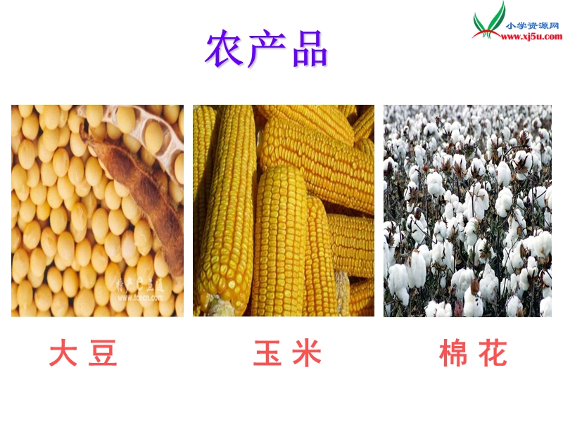 （苏教版）2015秋四年级品社上册《衣食的来源》课件（3）.ppt_第2页