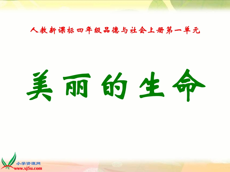 美丽的生命.ppt_第1页