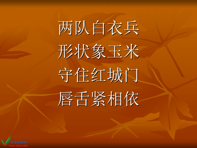 （苏教版）一年级品德与生活下册课件 我掉了一颗牙 1.ppt_第2页