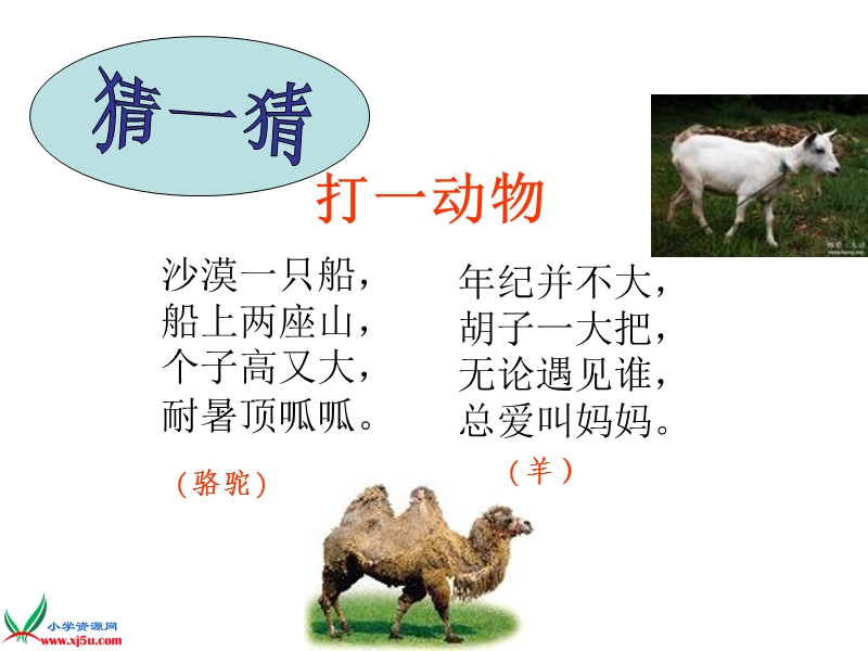 （鄂教版）四年级品德与社会下册课件 我懂得了… 1.ppt_第2页