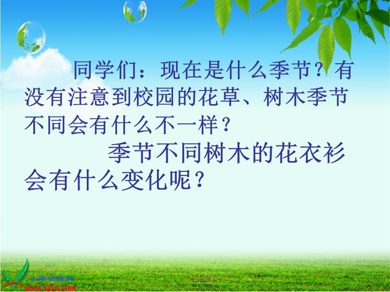 （人教新课标）二年级美术下册课件 叶子上的小血管 2.ppt_第2页