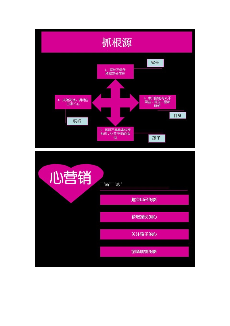 专业培训机构策划方案执行者.doc_第2页