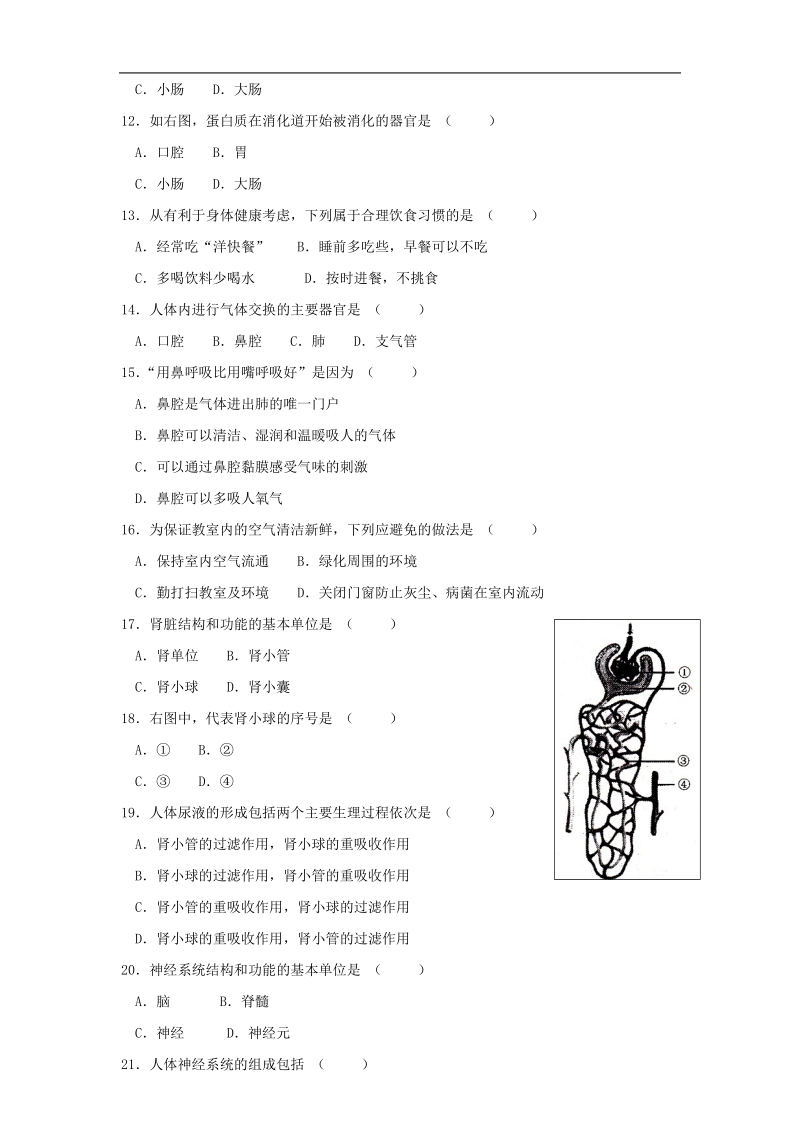 七年级生物上册人体.doc_第2页