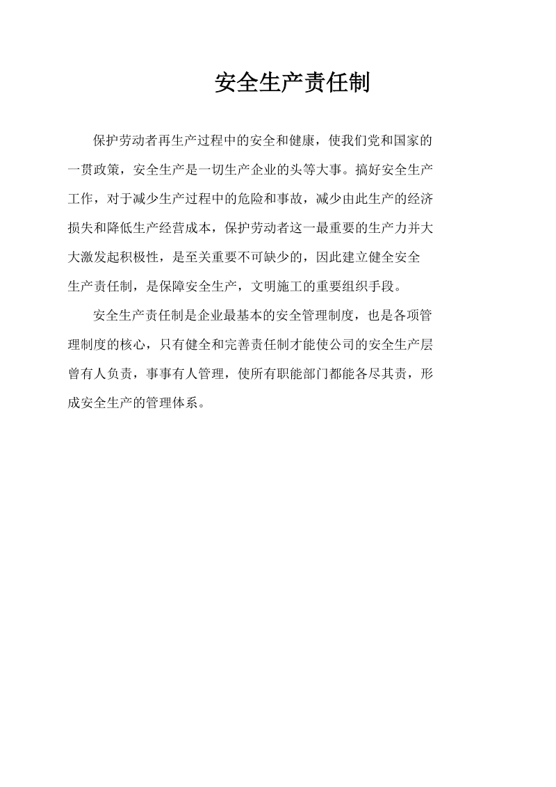 公司经理安全生产责任.doc_第2页