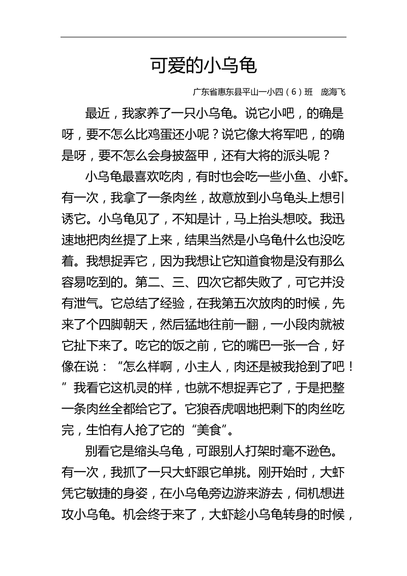 可爱的小乌龟.doc_第1页