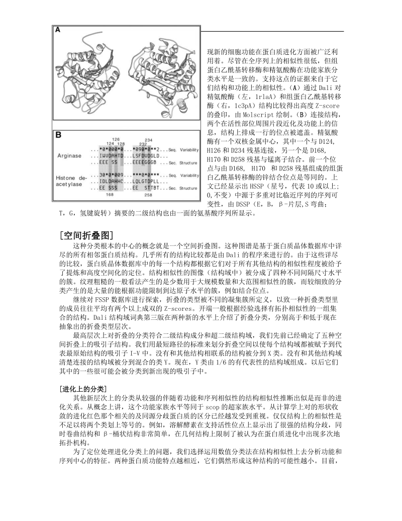 一种全自动的蛋白质折叠进化分类 dali结构域词典第三版.doc_第2页