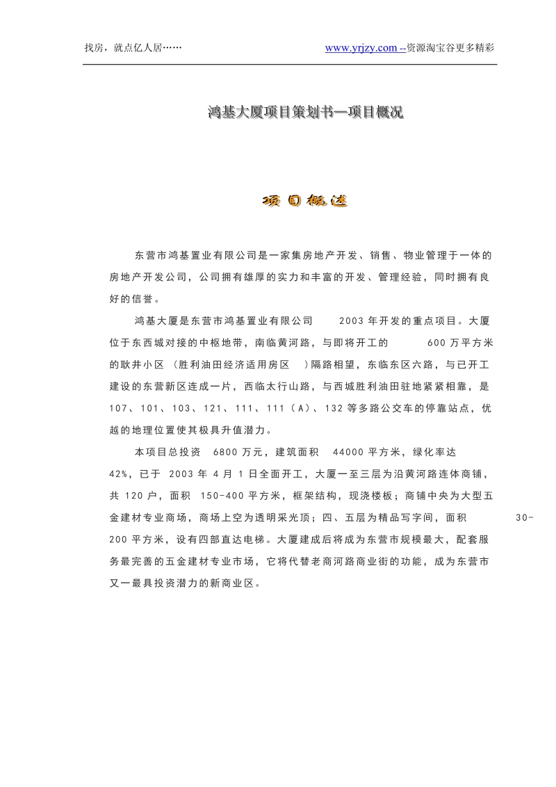 东营某商业地产项目策划书.doc_第1页