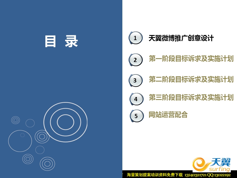 2010天翼微博推广方案.ppt_第2页