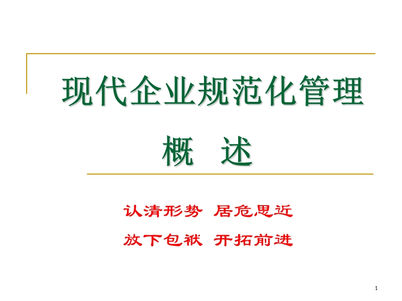 企业规范化管理概述.ppt_第1页