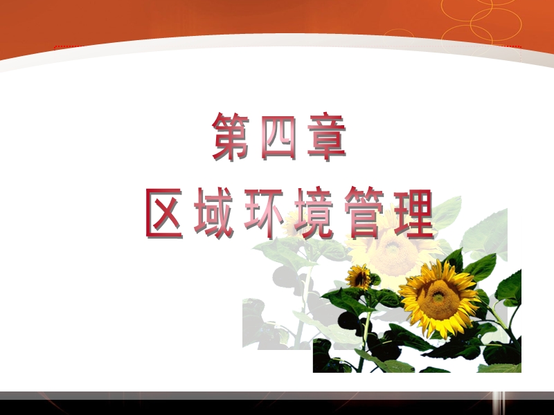 环境规划与管理 主讲人：孟伟庆.ppt_第2页