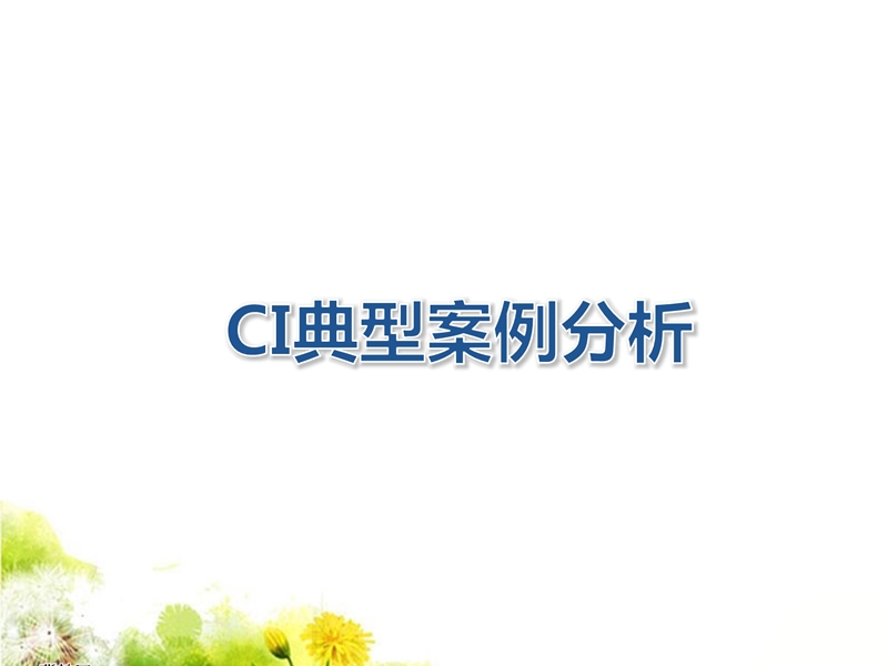 ci设计课程课件.ppt_第1页