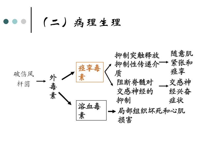 11.13破伤风.ppt_第3页