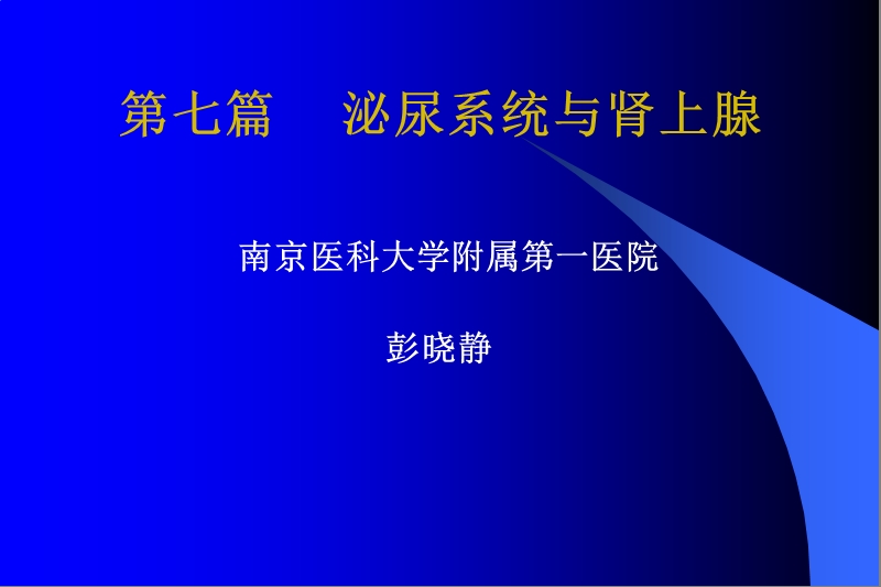 泌尿系统-肾、输尿管.ppt_第1页