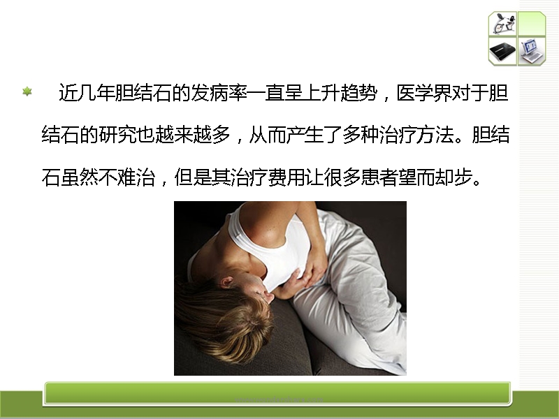 胆结石手术费.ppt_第2页