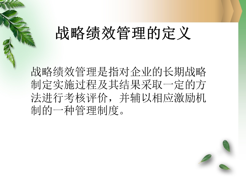 战略绩效管理.ppt_第3页