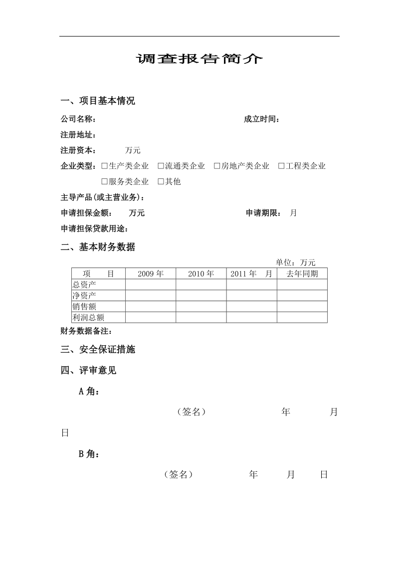 担保项目调查报告模板.doc_第3页