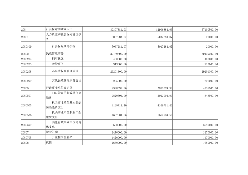 一般公共预算支出情况表.doc_第3页