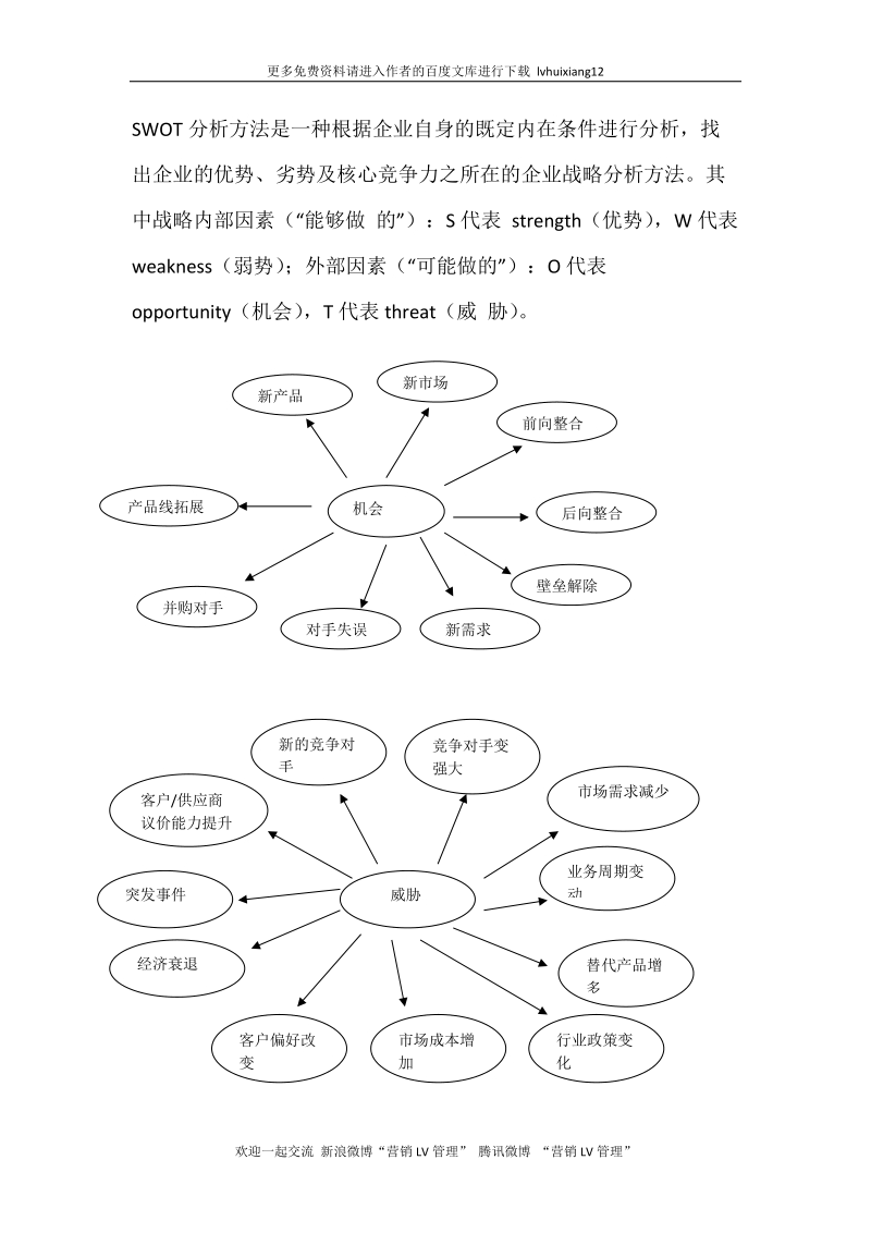 战略管理lv9 swot 分析.docx_第1页