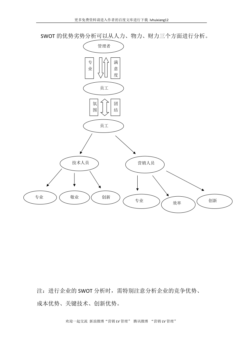 战略管理lv9 swot 分析.docx_第2页