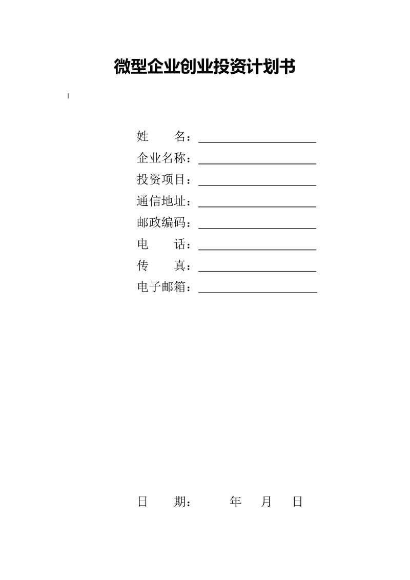 微型企业创业投资计划书模板.doc_第1页