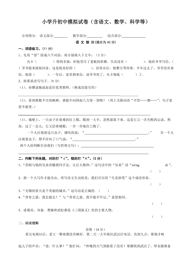 小学升初中模拟试卷.doc_第1页