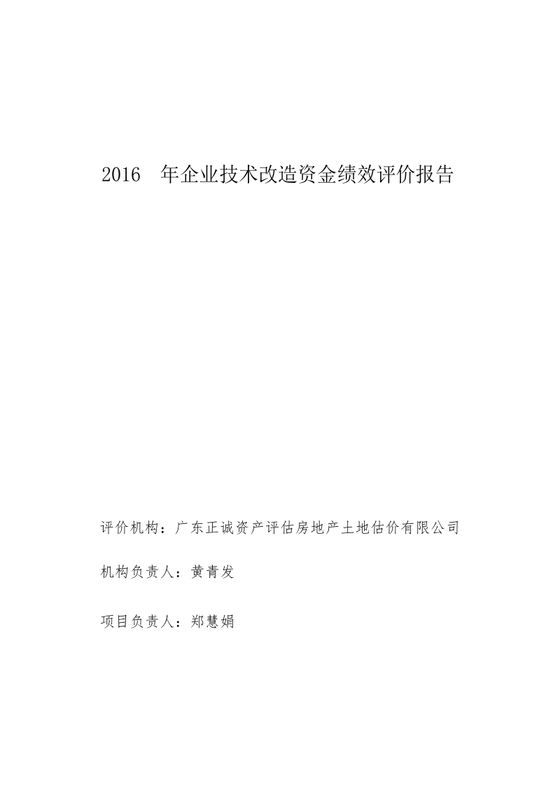 企业技术改造资金绩效评价报告.docx_第1页